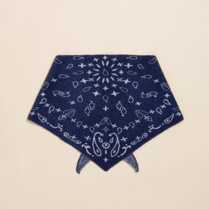 Bandana Triangle Scarf