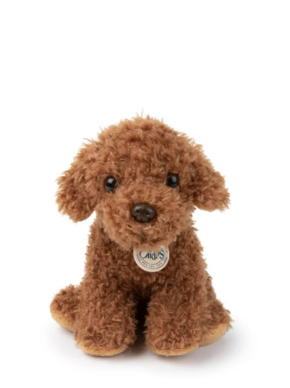 Stacy the Labradoodle