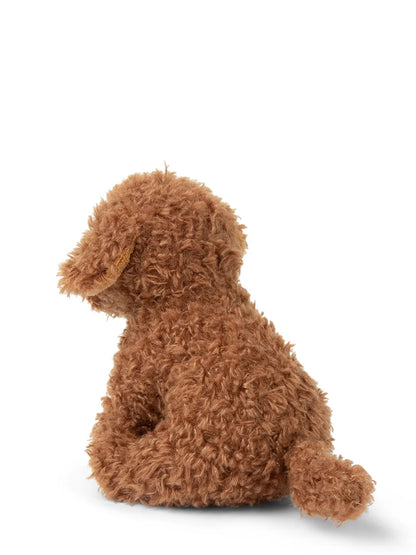 Stacy the Labradoodle
