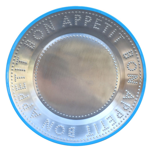 Stainless Steel Reusable Plate