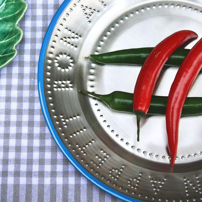Stainless Steel Reusable Plate