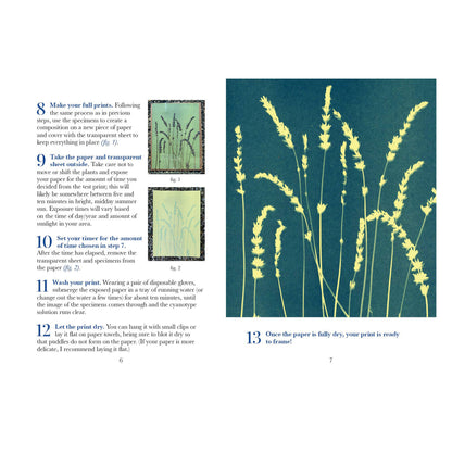 Botanical Cyanotype Kit
