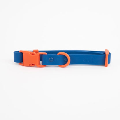The Fritz Dog Collar