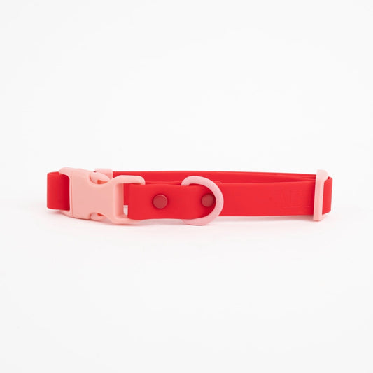 The Fritz Dog Collar