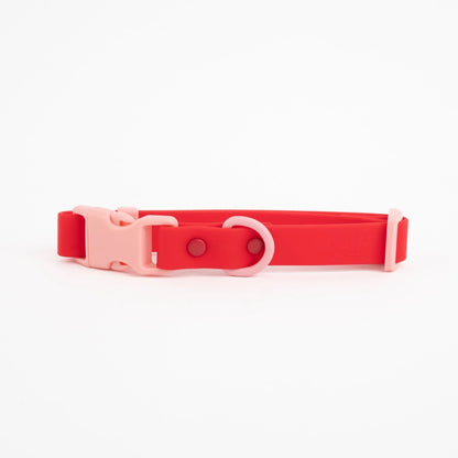 The Fritz Dog Collar