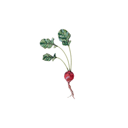Red Radish Brooch