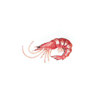 Prawn Brooch