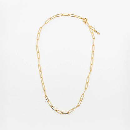 Gold Chain Necklace and Charms