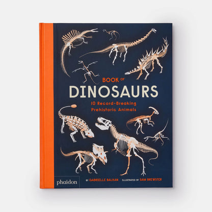 Book of Dinosaurs