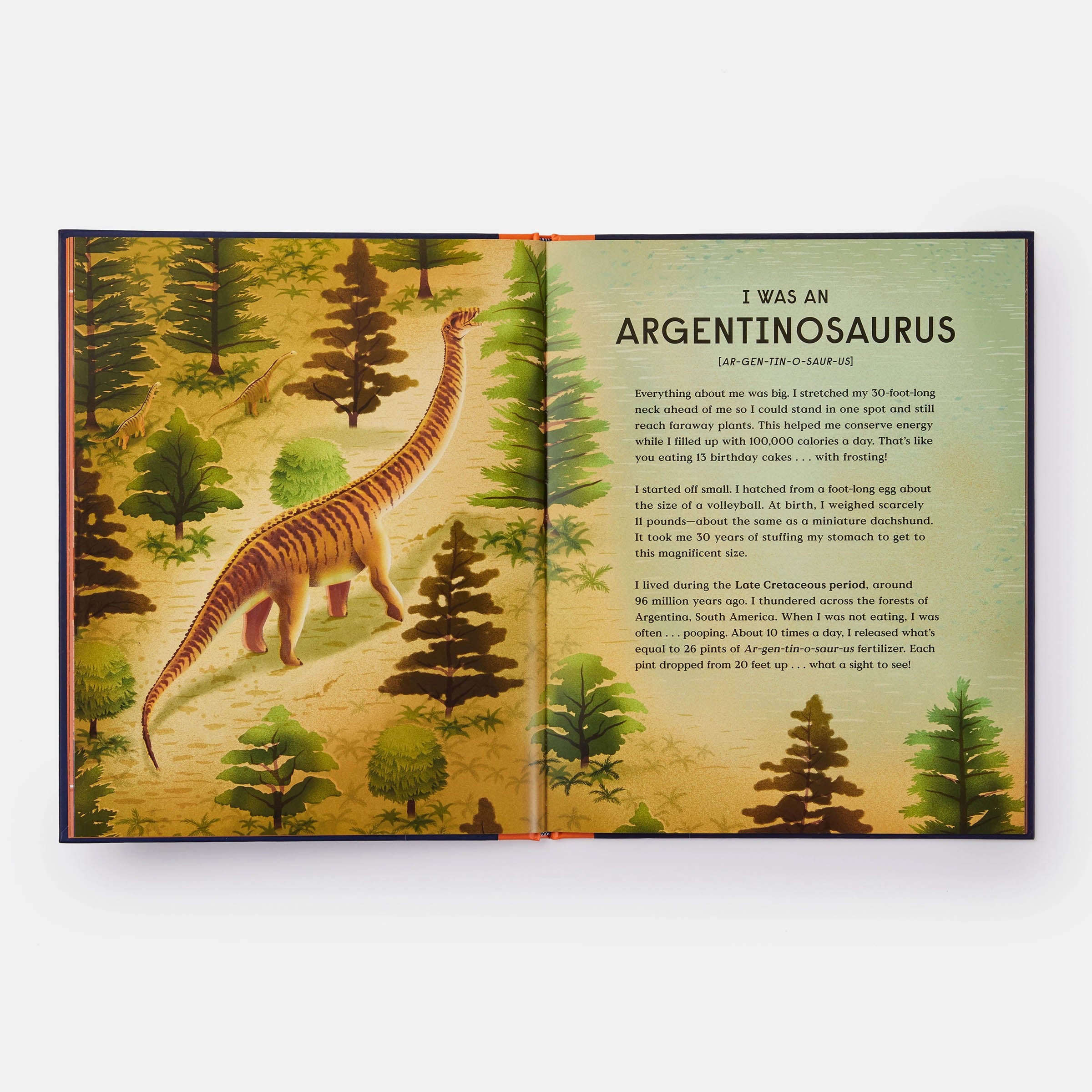 Book of Dinosaurs – Piecework Puzzles