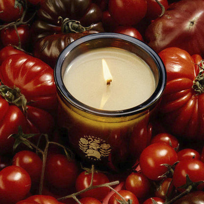 Roma Heirloom Tomato Candle