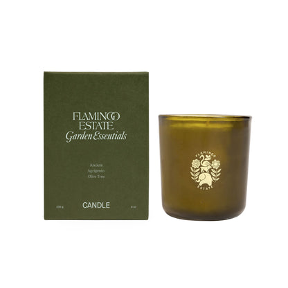 Ancient Agrigento Olive Tree Candle