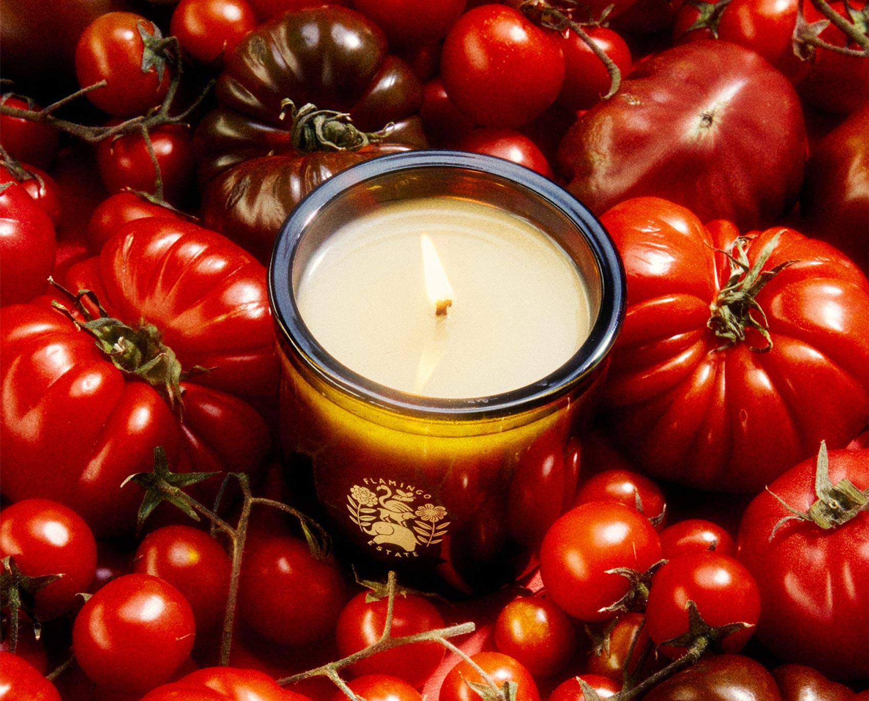 Flamingo Estate's Roma Heirloom Tomato Candle surrounded by tomatoes.