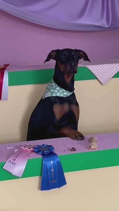 Video shows 14 dogs, lots of baked goods, and patience went into making Top Dog, a very cute dog jigsaw puzzle.