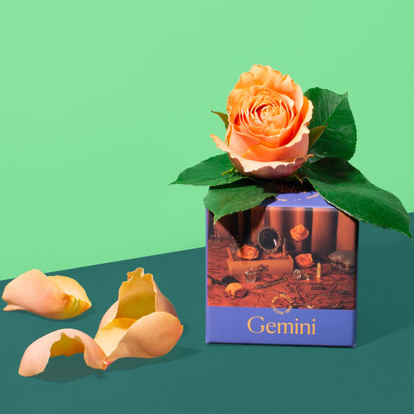 Gemini_color-